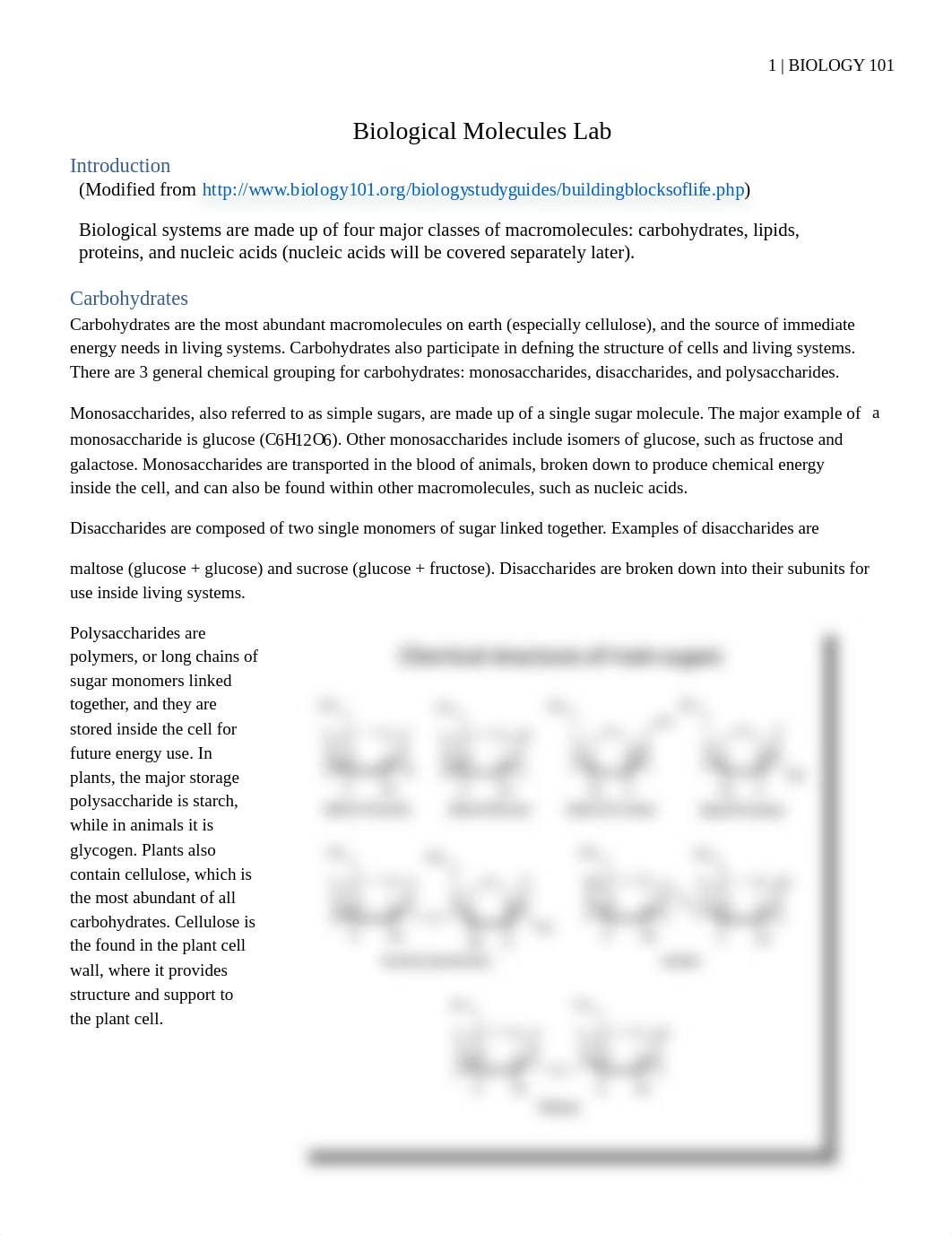 Lab_02_Unit-1_Biological_Molecules (2) zainab Albasri.docx_deavf8dkwnf_page1