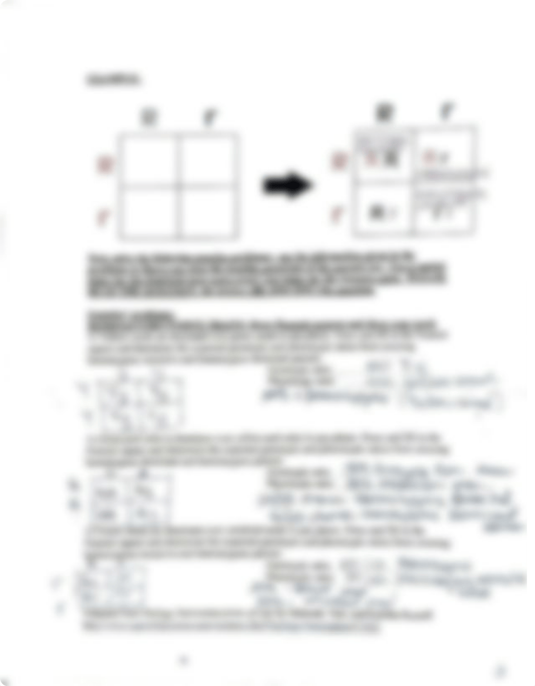 GENETICS_HEREDITY_Lab 9_CGodoy.pdf_deawwkp3ug3_page3