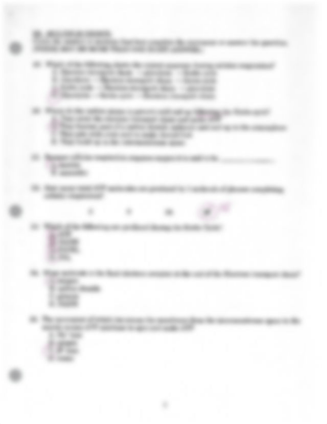 Cellular Respiration WKSHT_deb1wyl3j99_page3