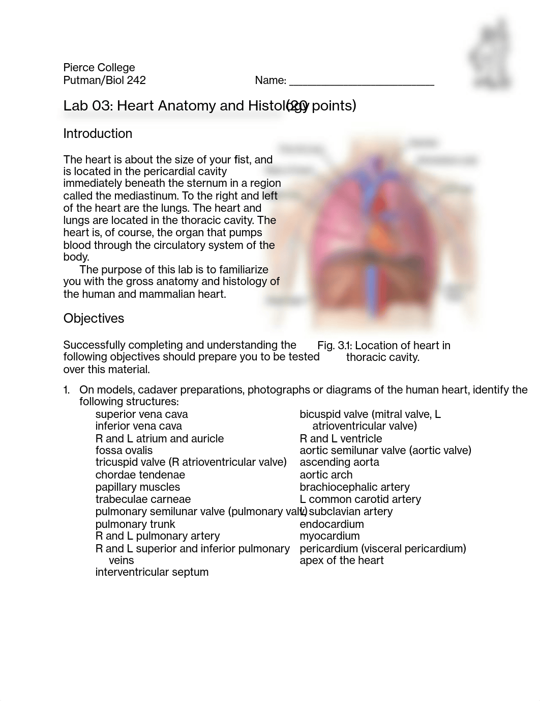 242 Lab 03b Heart Anatomy HO 20210316 (1).pdf_deb360fdas8_page1