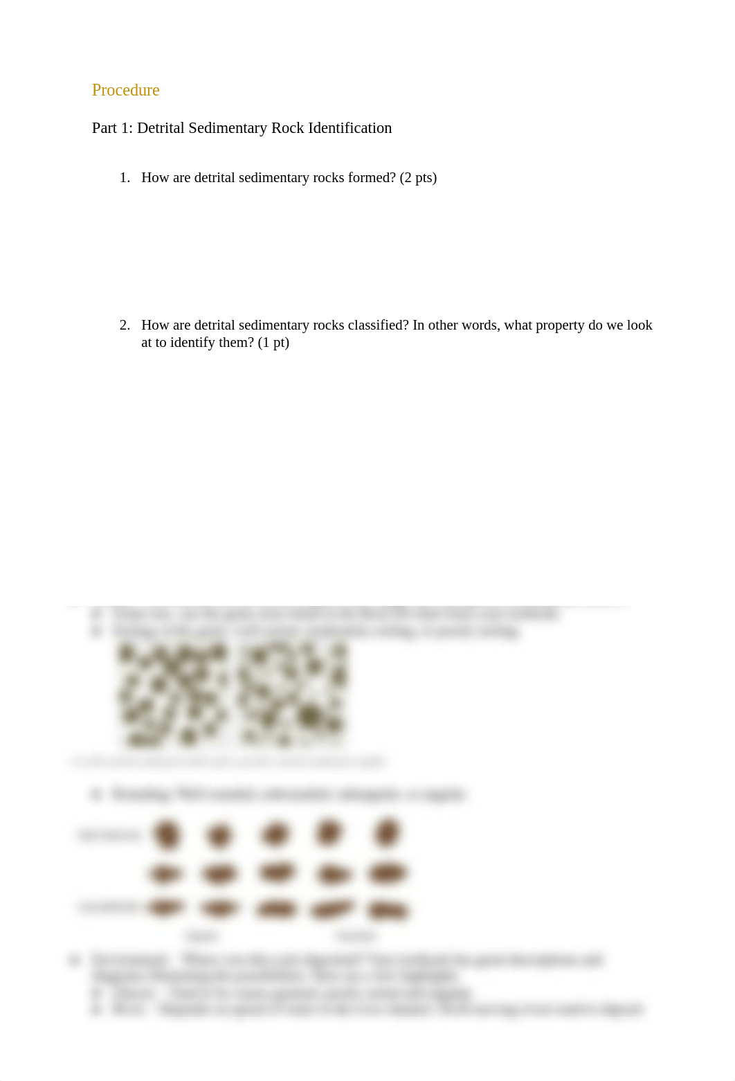 _Lab 5 Sedimentary Environments.pdf_debckluv217_page2