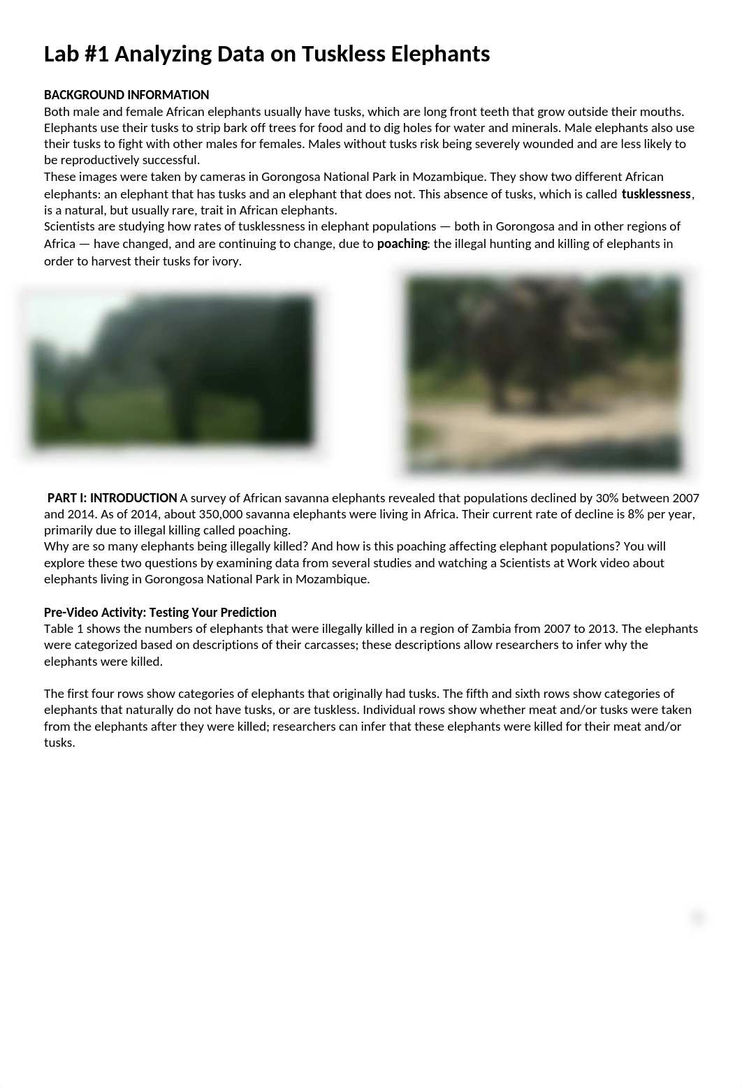 Lab 1 Analyzing Data on Tuskless Elephants.docx_debnpp5ztx4_page1