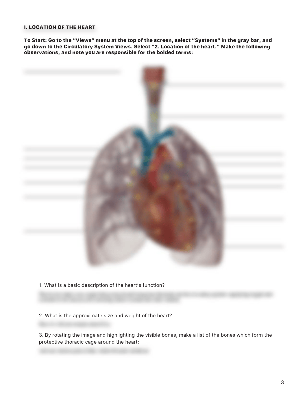 Heart Lab Activity .pdf_decamdj695q_page3