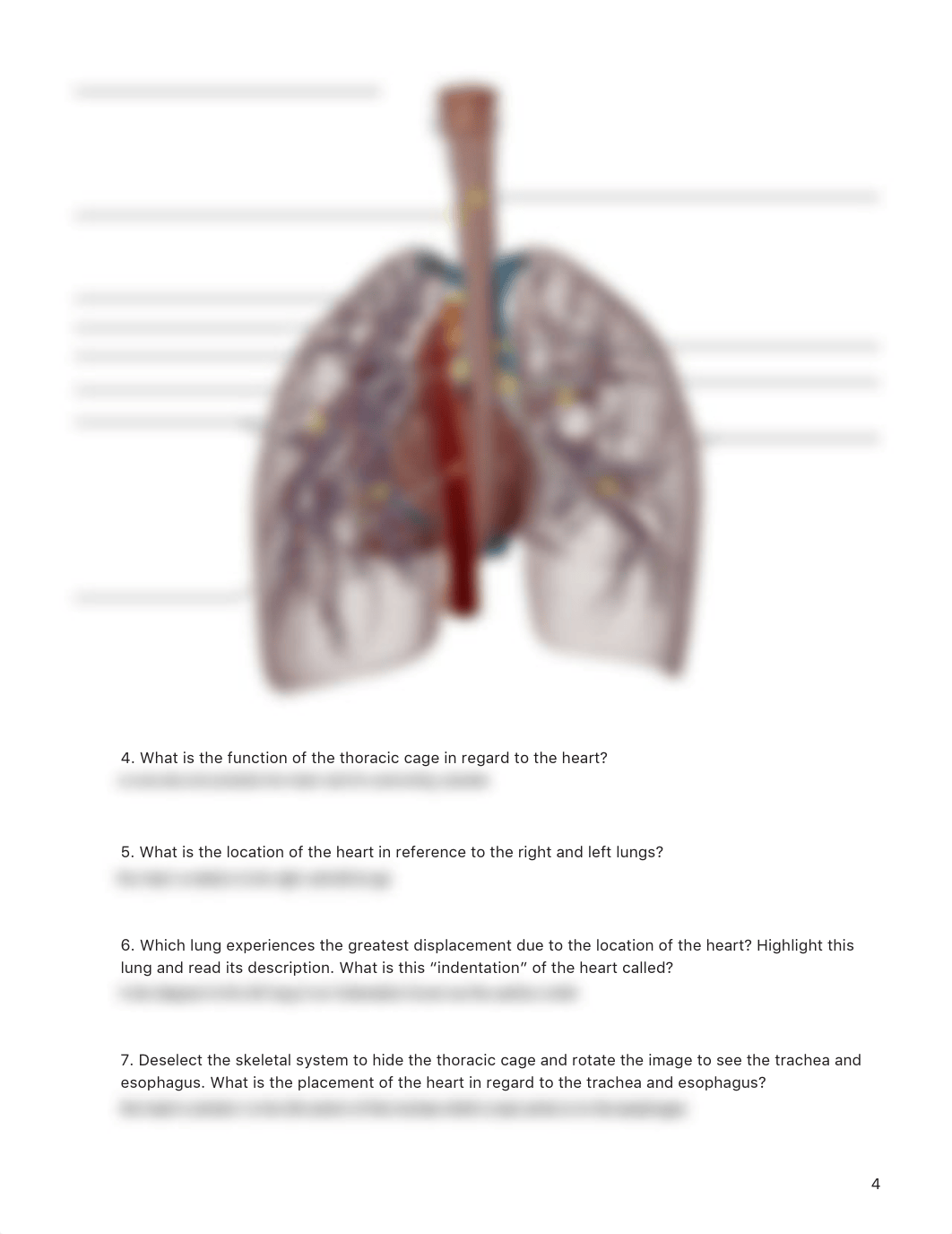 Heart Lab Activity .pdf_decamdj695q_page4