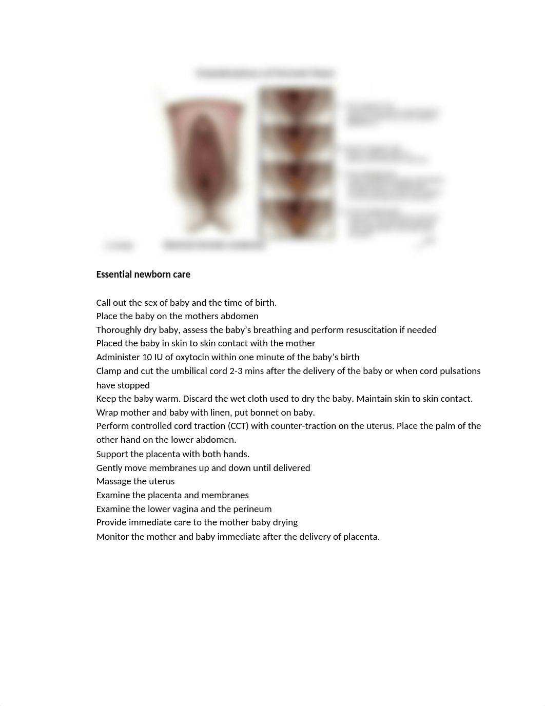 Preparation-of-Delivery-Room-SET-of-Instruments.docx_decbtczw028_page3