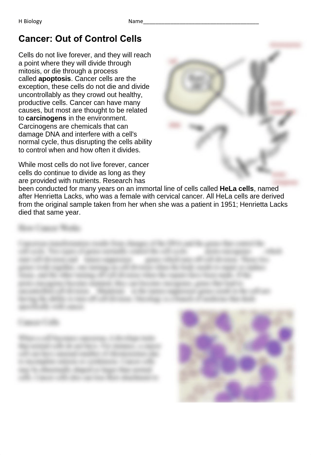 Kami Export - Shreya Kasireddy - Cancer Review.docx (1).pdf_deceh1wv3xc_page1