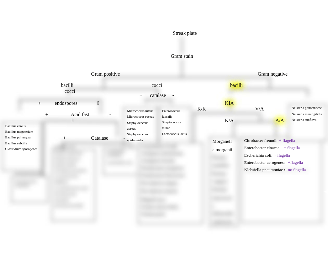 the Final unknown spread sheet. turn in.docx_decj4afsg9p_page1