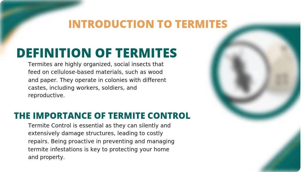 Termite control pptx.ppt_decl4ze06sc_page2