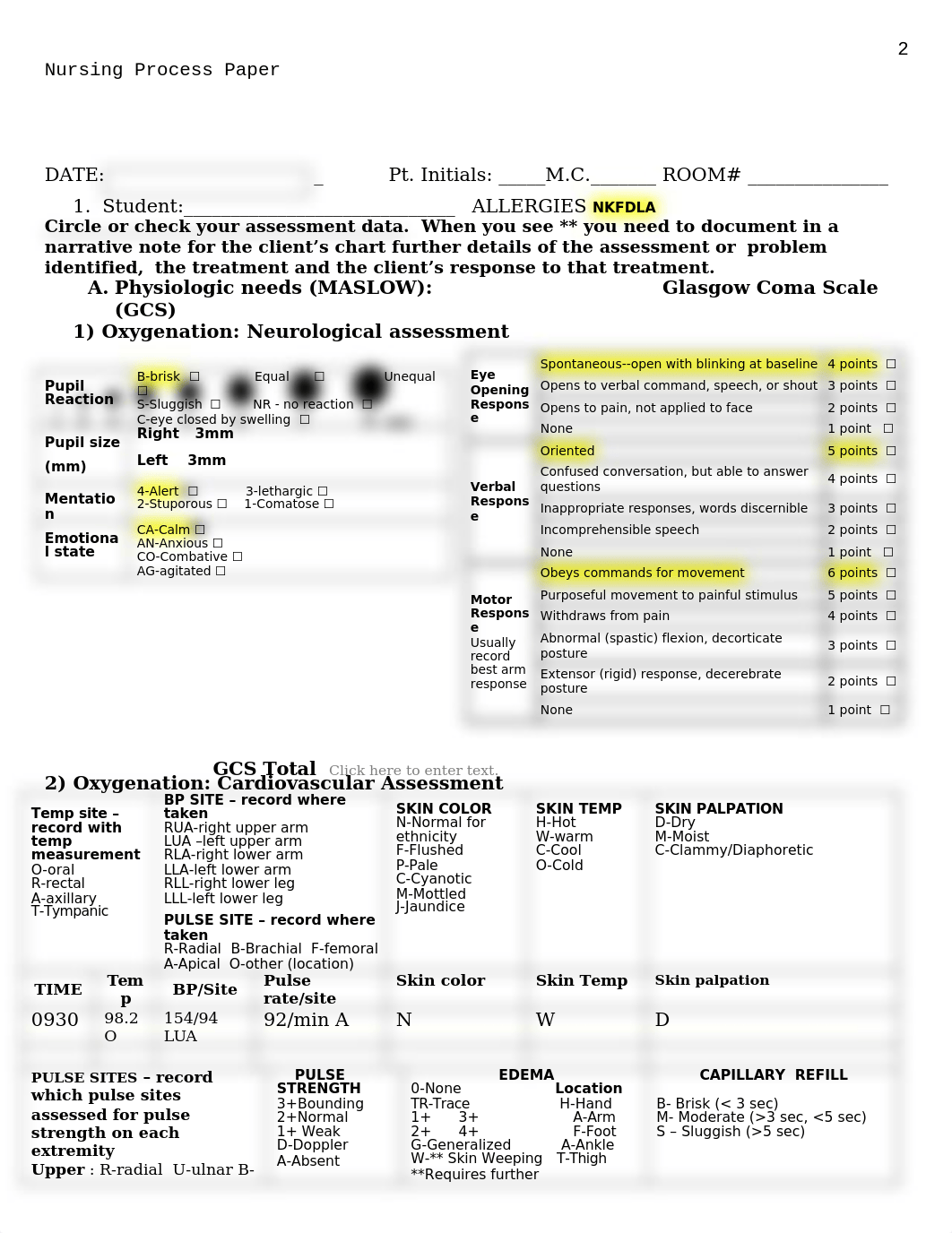 Final - Nursing Process Paper .docx_declvcrcpo4_page2