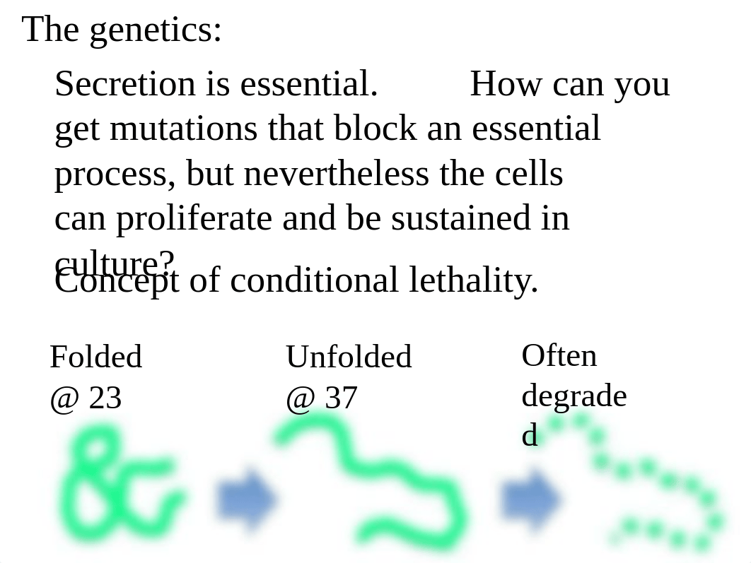 Bi9 lec04 vesicle trans_decpkeausox_page5