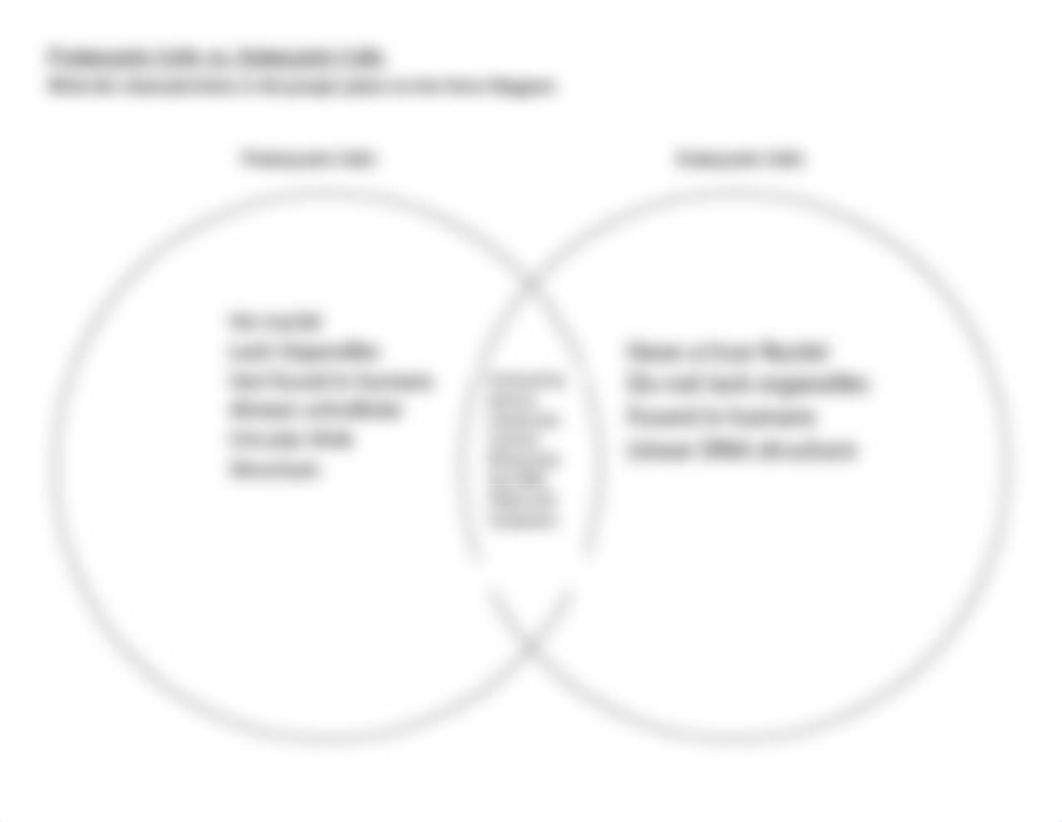 ALLP_3.1_Worksheet_Comparing-Prokaryotic-and-Eukaroytic-Cells.docx_decqqphmvsu_page2