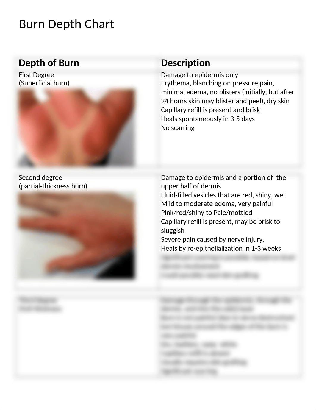 Burn Depth Chart_Fall 2018.doc_decttnzoeii_page1