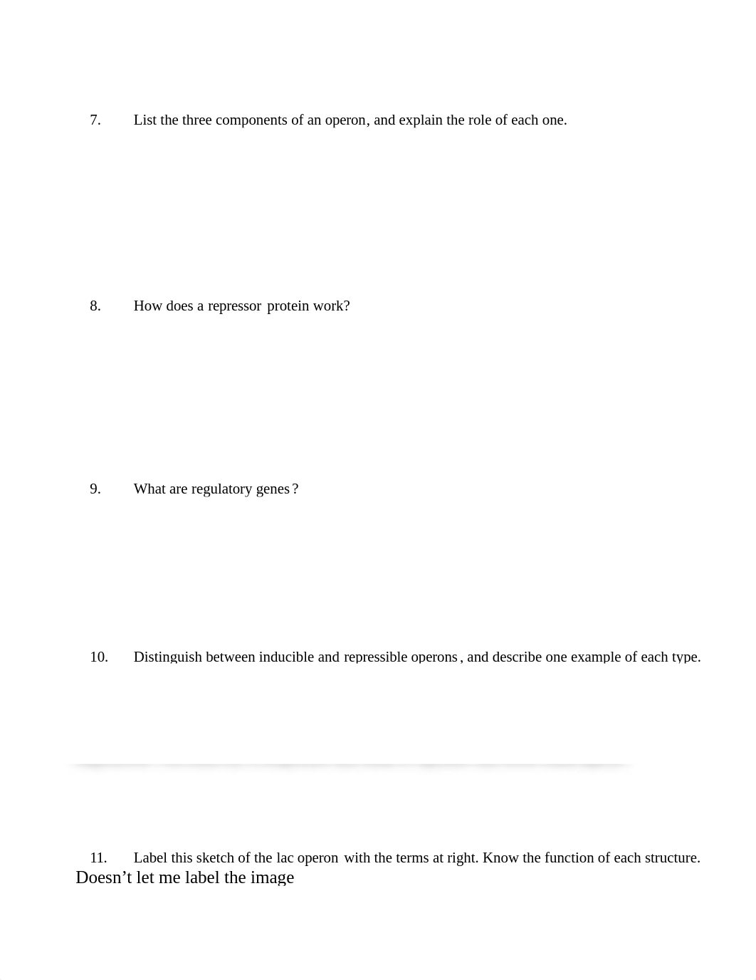 Copy of chapter 18 regulation of gene expression.pdf_ded25m1lk5b_page2