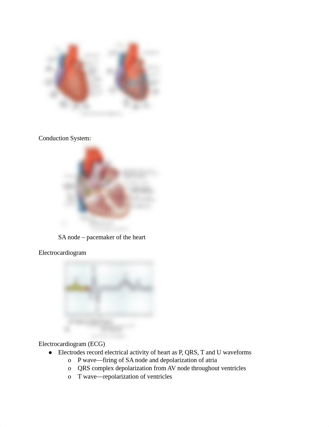 Heart Lecture 1 .pdf_dedf25lvetd_page2