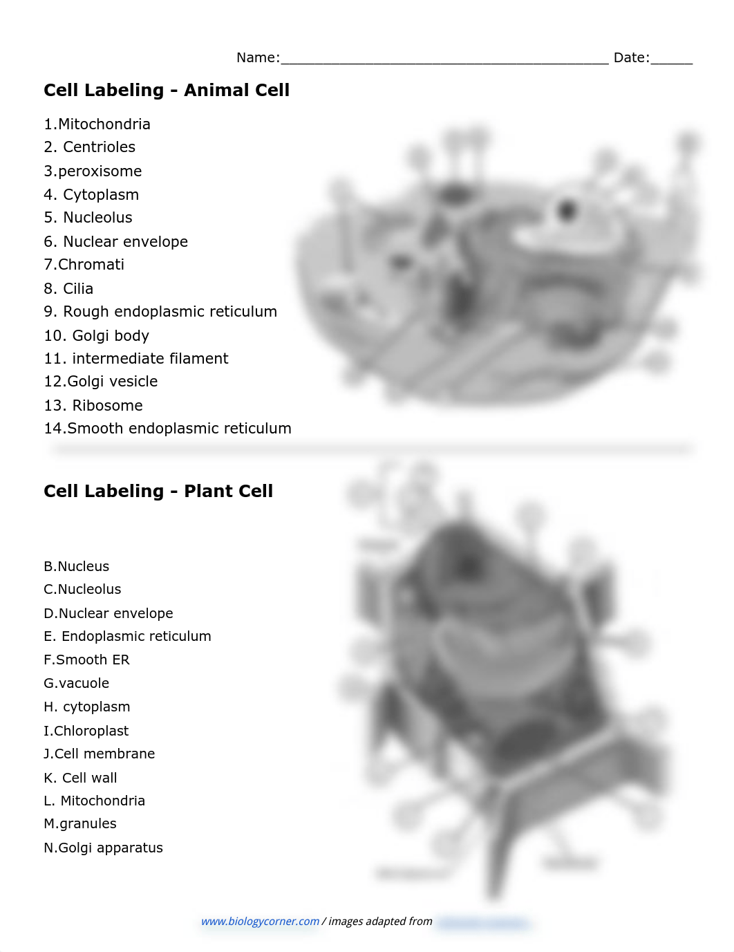 Greicy Santana Batista - Copy of Cell Labeling.pdf_dedi421herl_page1