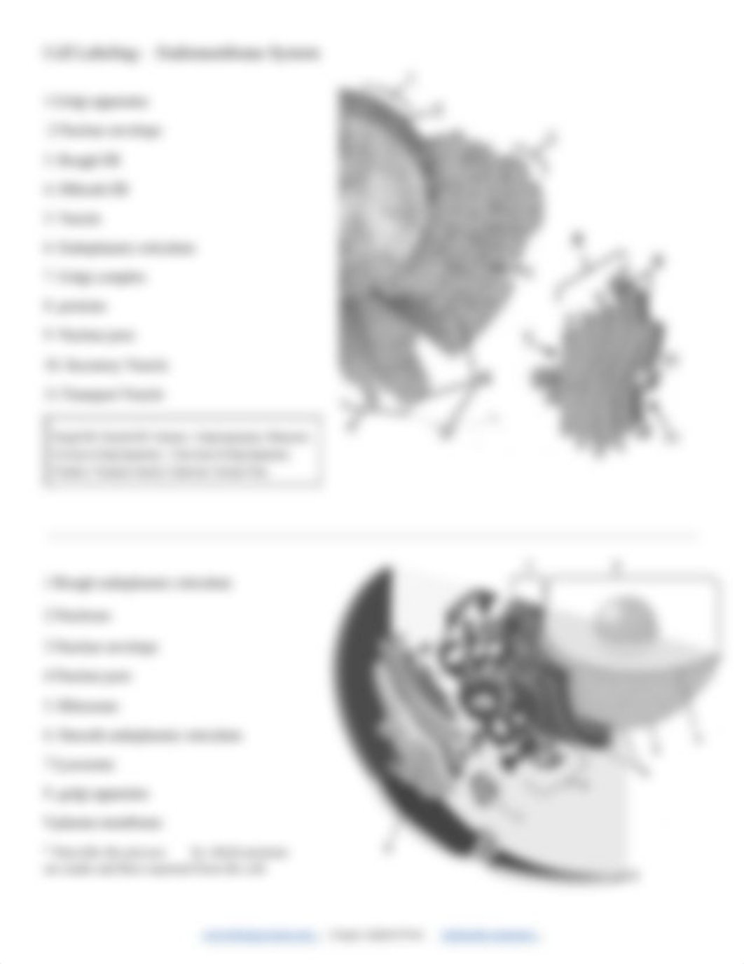 Greicy Santana Batista - Copy of Cell Labeling.pdf_dedi421herl_page2