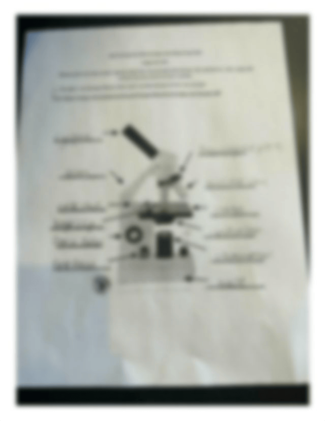 microscope.jpg_dedikakalkx_page1