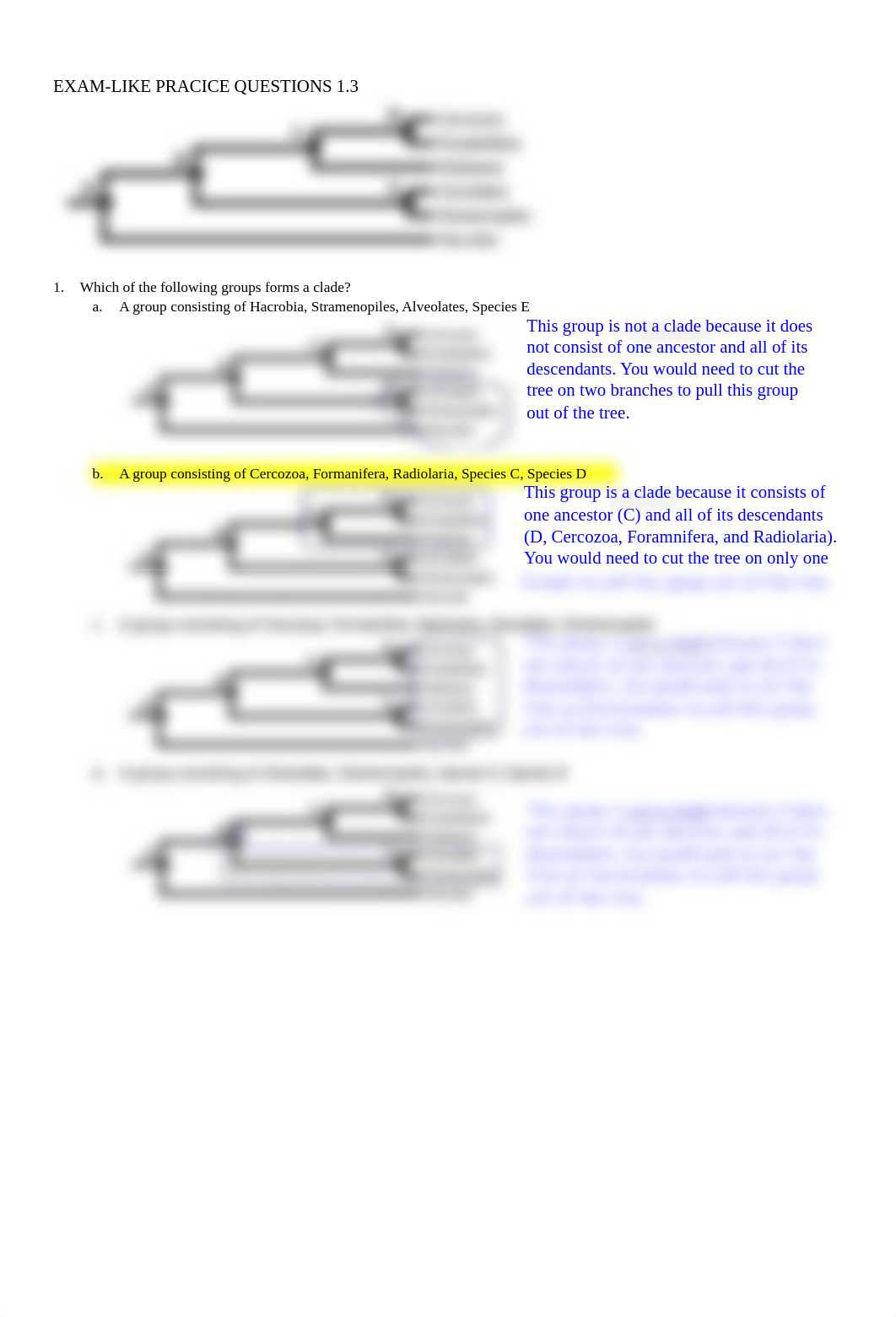 Worksheet and PQs 1-3,4_KEY.pdf_dedkxepdkuw_page4