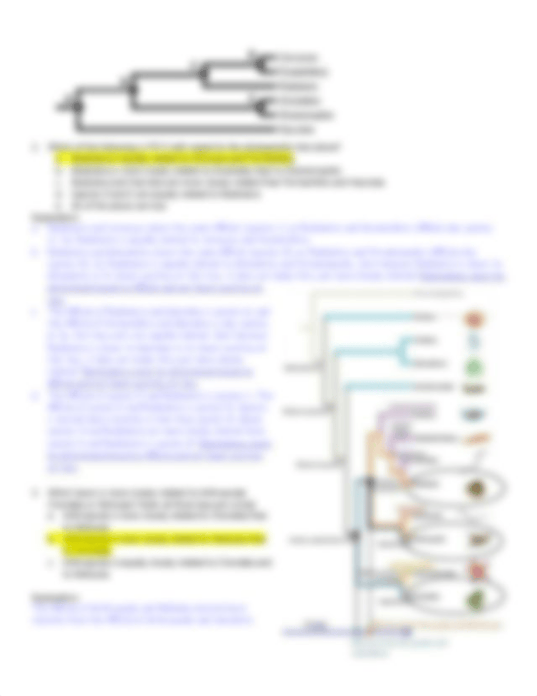 Worksheet and PQs 1-3,4_KEY.pdf_dedkxepdkuw_page5