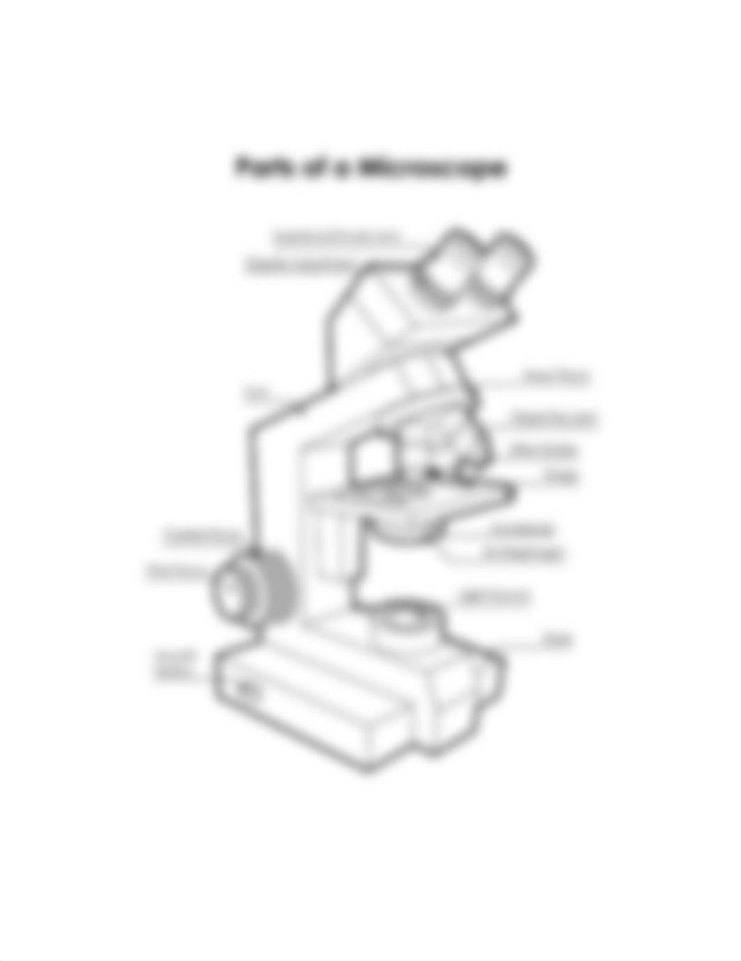 Lab 3 - Microscope - parts in picture.docx_dedtgu3zc2s_page1