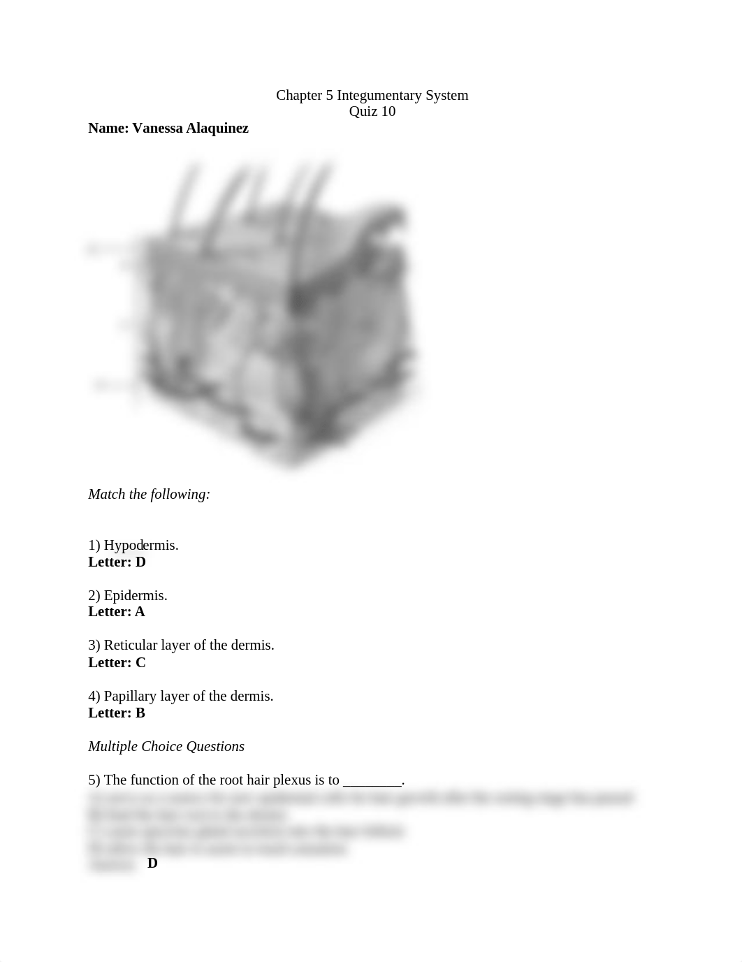 Ch. 5 quiz 10 integumentary.docx_dedv8e664u9_page1