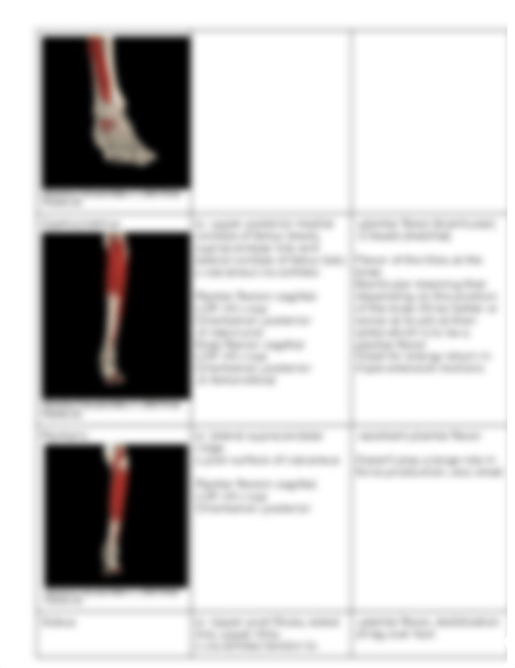 Kinesiology Study Guide.pdf_dee49w3se1y_page5