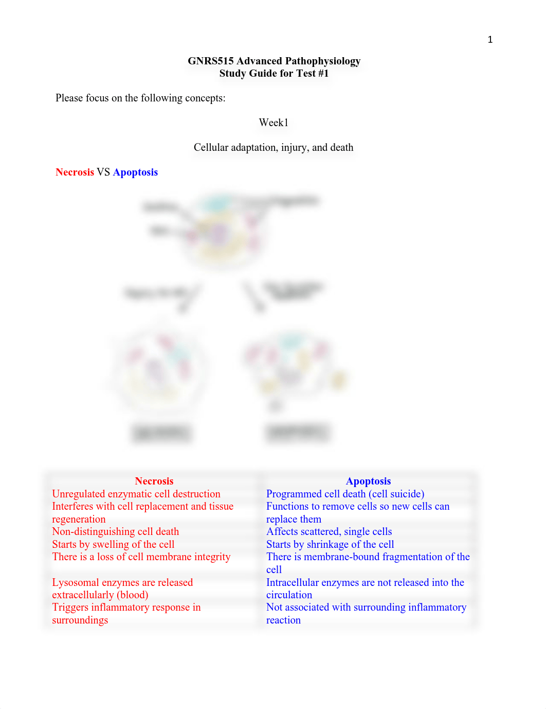 GNRS515 Advanced Pathophysiology Study Guide Complete.pdf_dee8xj11k0l_page1