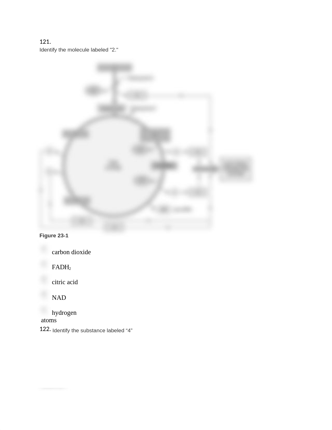 Exam 3 review questions part 3.docx_deea1wg97qf_page1