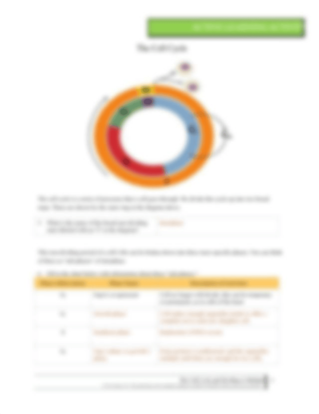 IGB3S_ALA The Cell Cycle and Dividing to Multiply (2).docx_deeimk21h2j_page2