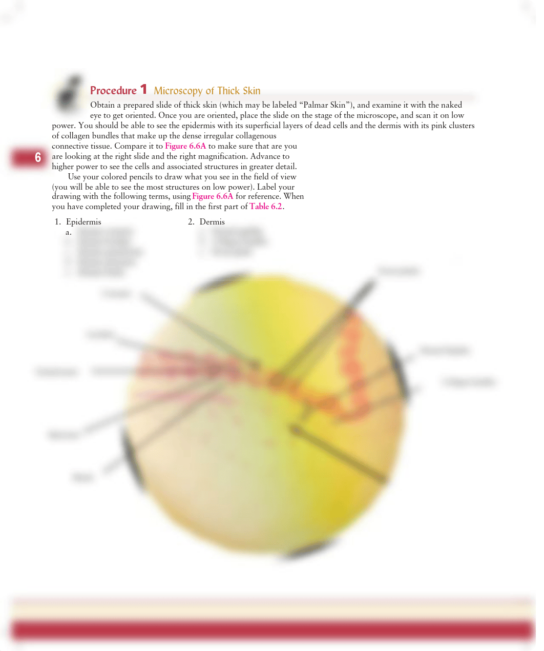 Unit 6 ex 6-2 procedure 1.pdf_deek0r49puj_page1