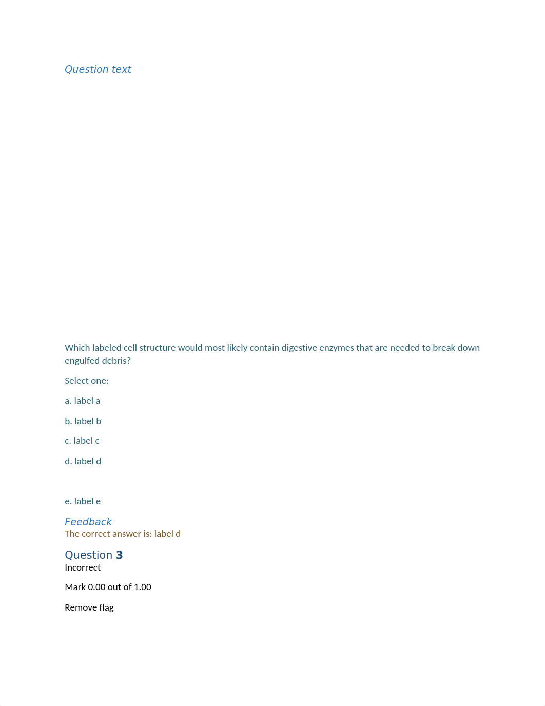 Structure and Function of Cells Quiz.docx_deel033nzdh_page2