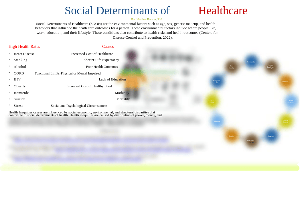 Social Deterants of Healthcare Poster NSG 398- Final 2.pptx_deeoif8n0fm_page1