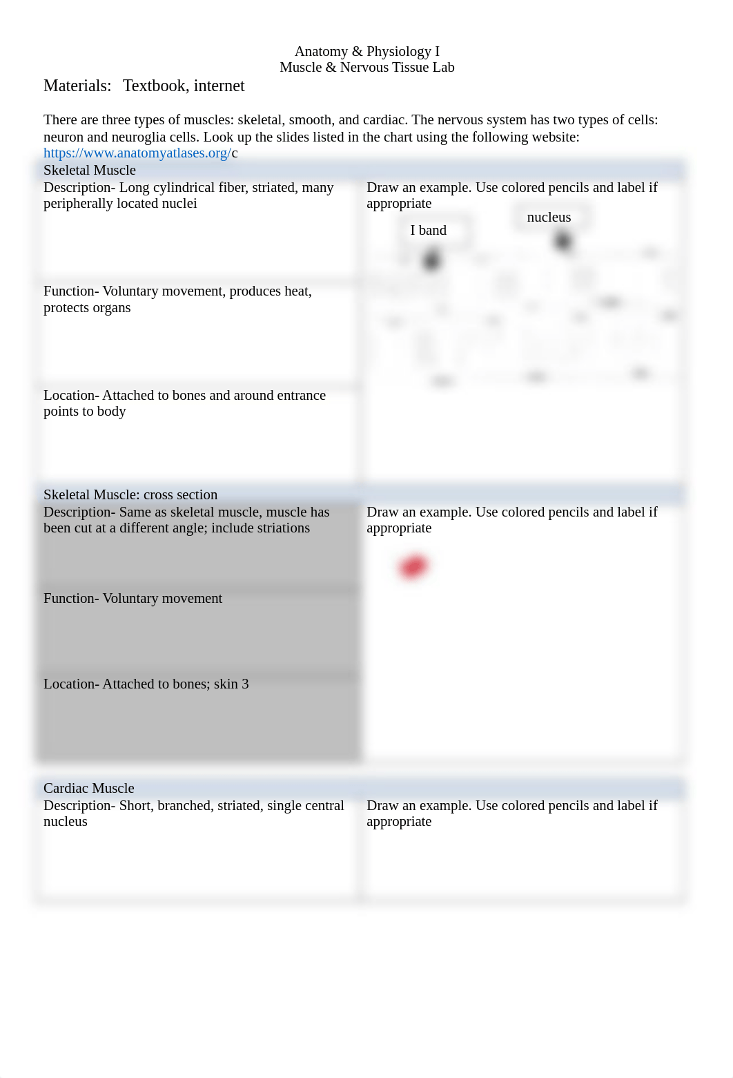 Muscle and Nervous Tissue Lab .docx_deeve88ygru_page1