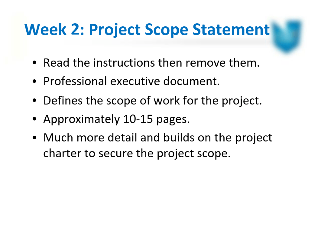 Week 3 - Project Scope Statement_deeydni1g2z_page2