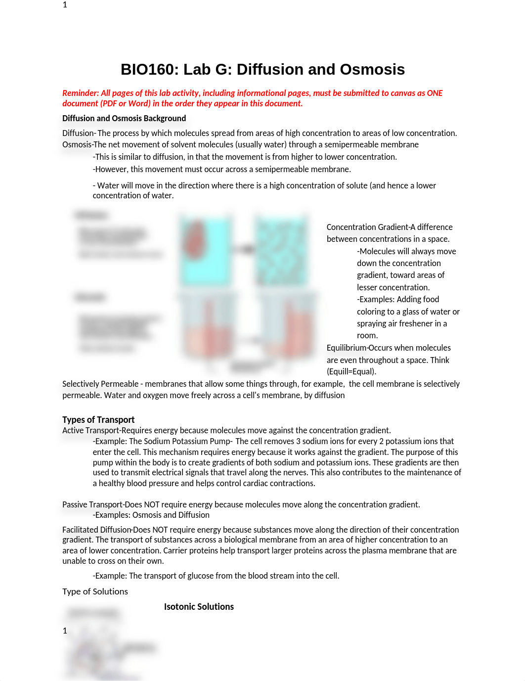 Lab G Diffusion and Osmosis-Student Version-Updated 5_2022.docx_def7pkc64q1_page1