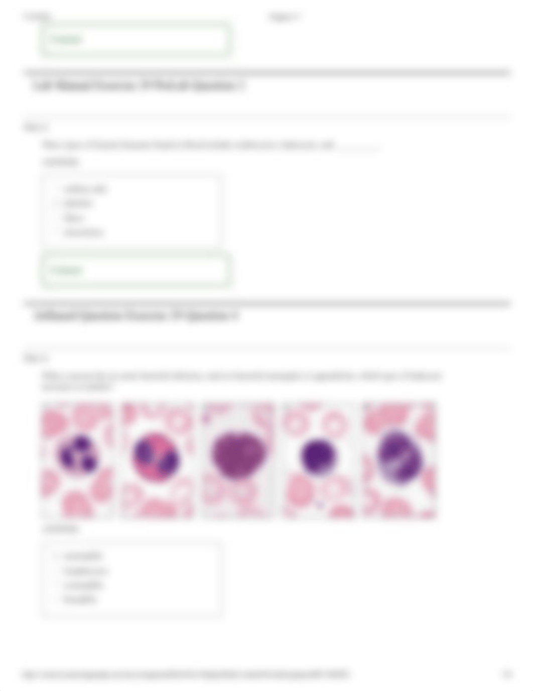 Lab - Chapter 17_defdw5blhp2_page3