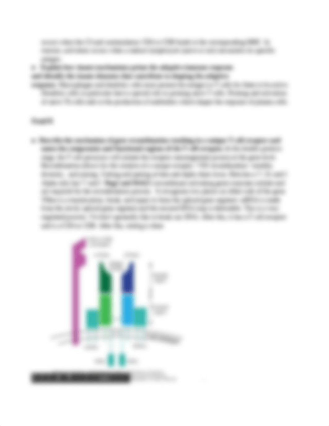 Immuno3_defem5bkb3b_page2