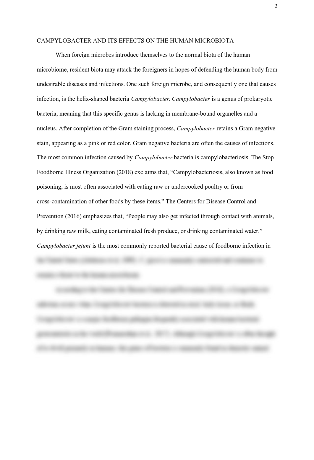 Campylobacter and Its Effects on the Human Microbiota.pdf_deffzo9emm0_page2