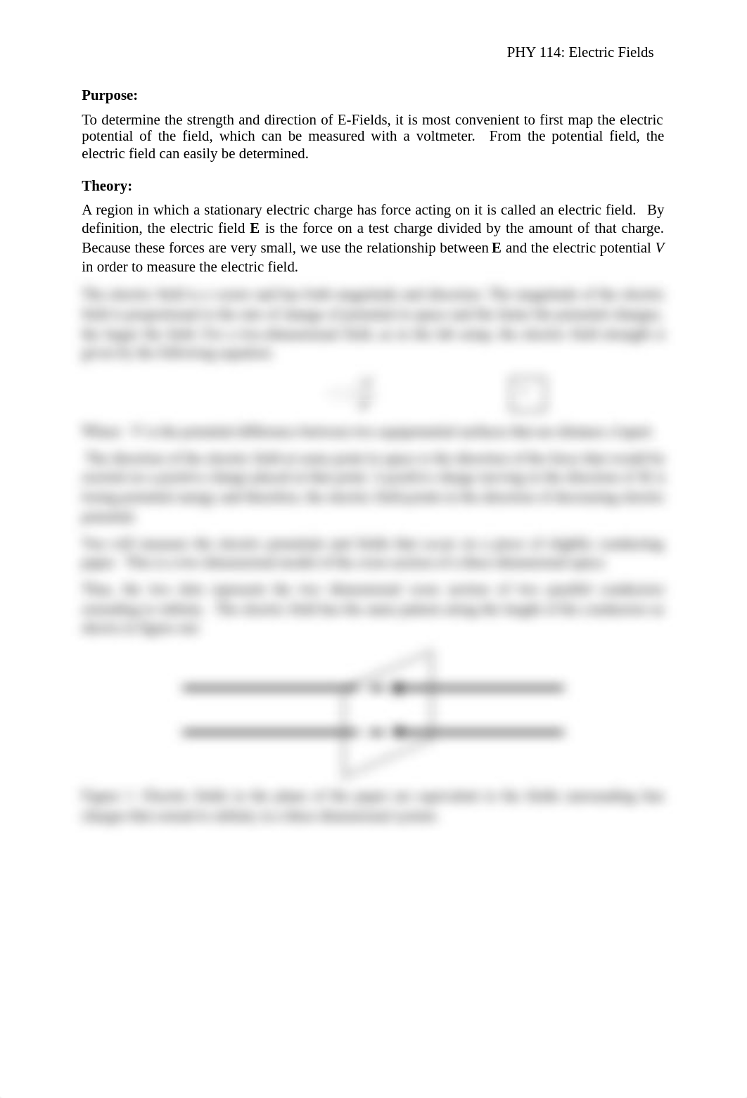 Lab 2 Electric Fields.pdf_defik4dccn5_page2