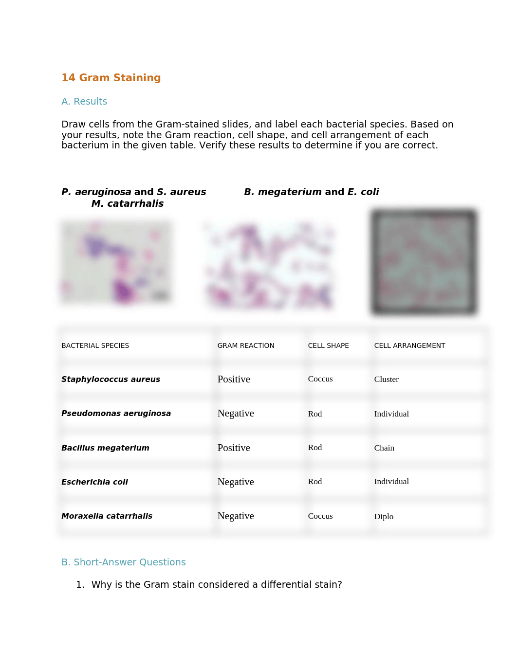 14 Gram Staining.docx_defjvkdhx6a_page1