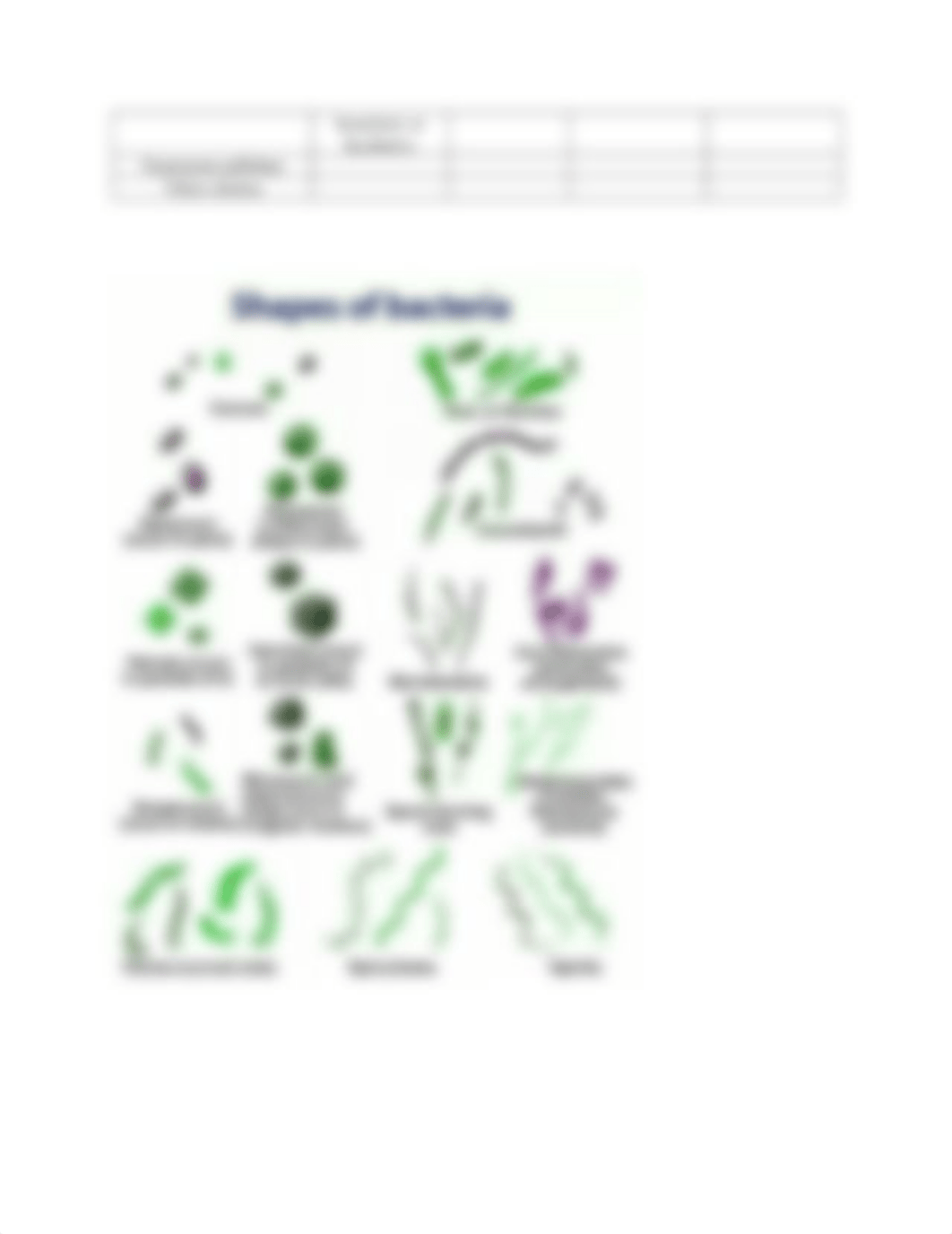 Morphology Quiz Chart.docx_defqpuqd3v8_page2