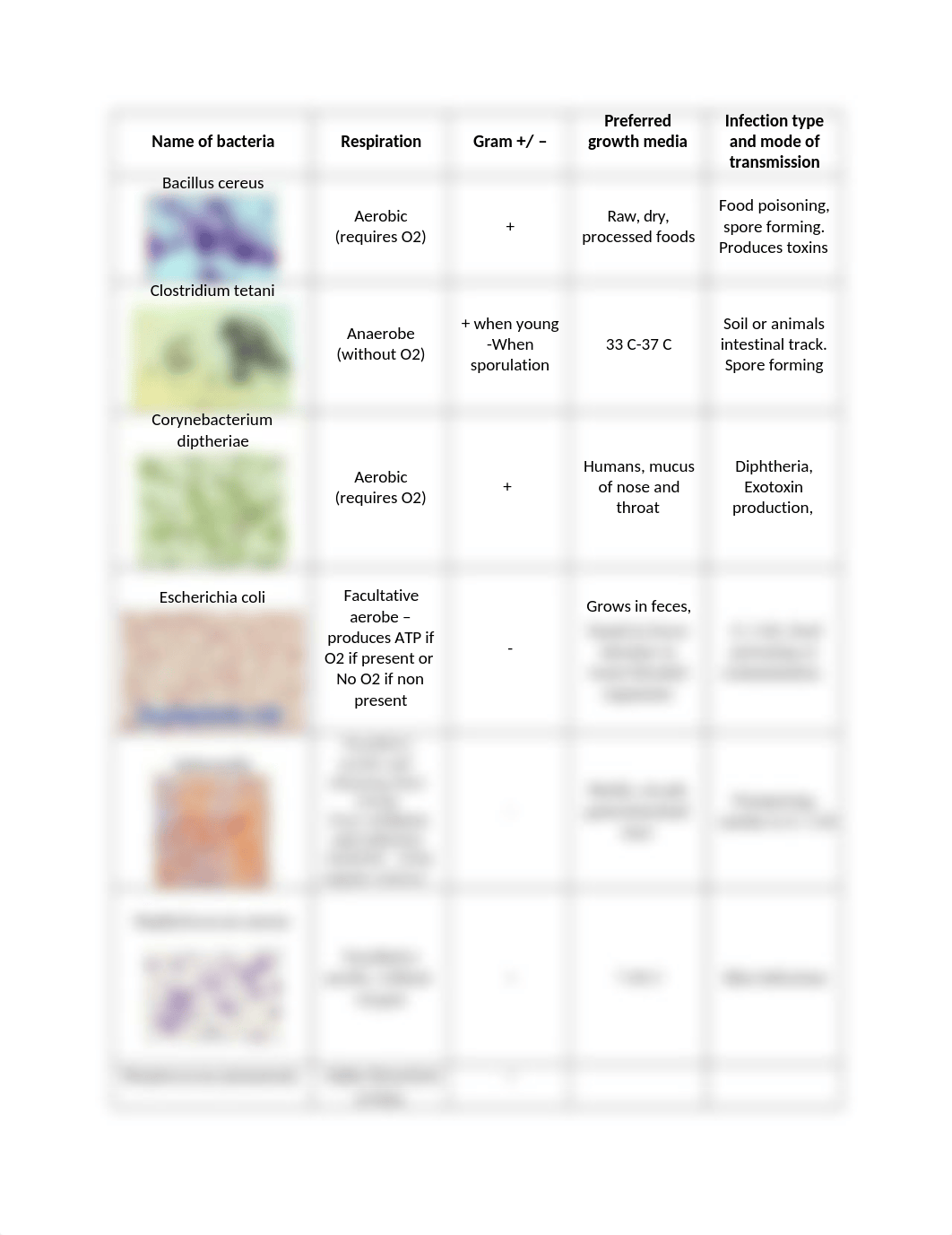 Morphology Quiz Chart.docx_defqpuqd3v8_page1