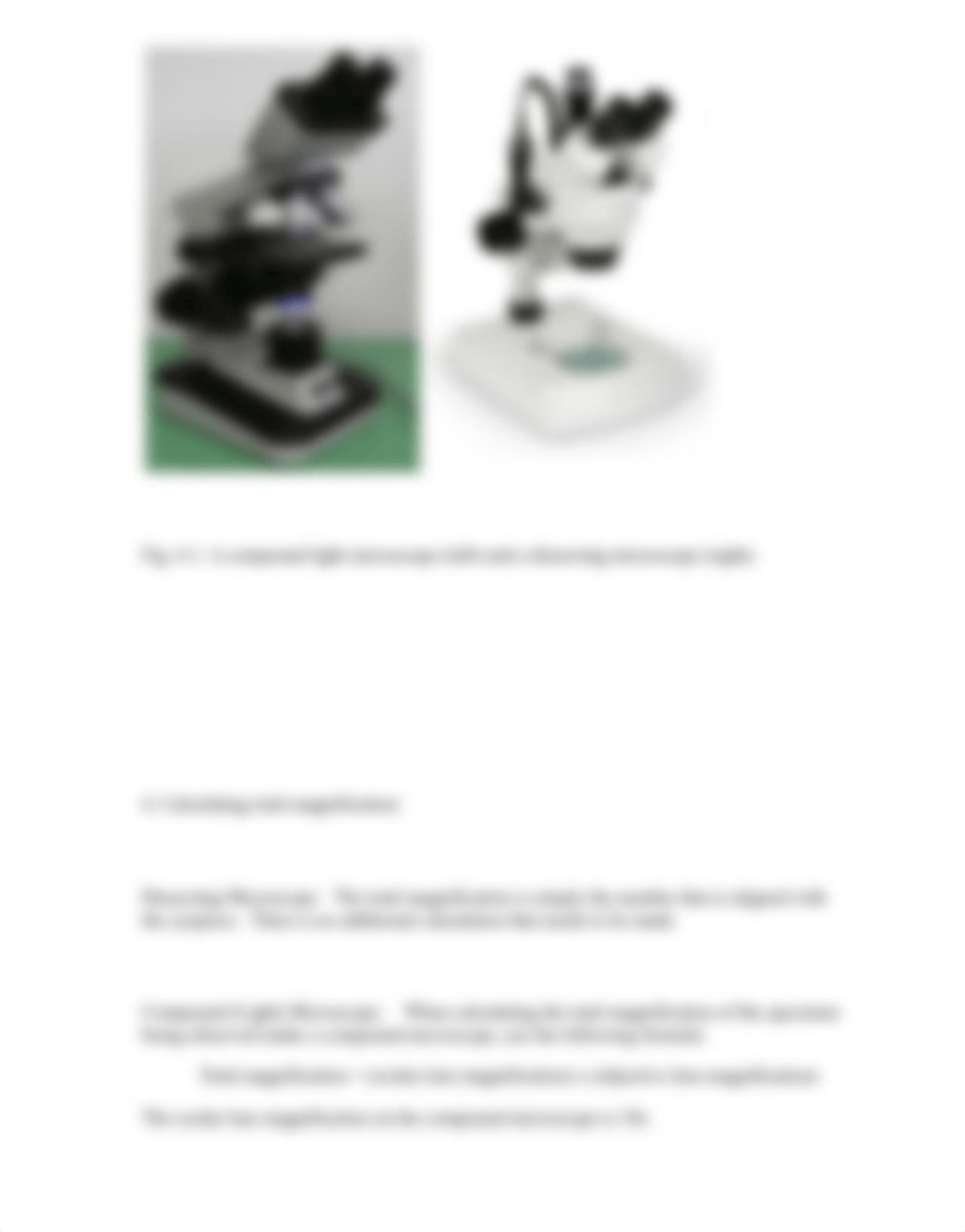 Lab_Manual_Lab6_Microscope_Cells_ADA_Su20-1.pdf_deftvxq27kq_page3