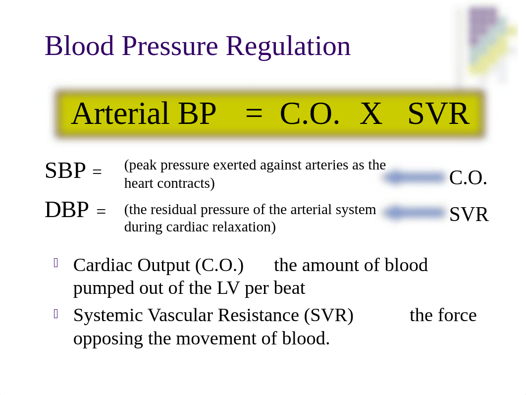 Blood Pressure Regulation  (Student).ppt_defyxhc2h9q_page3