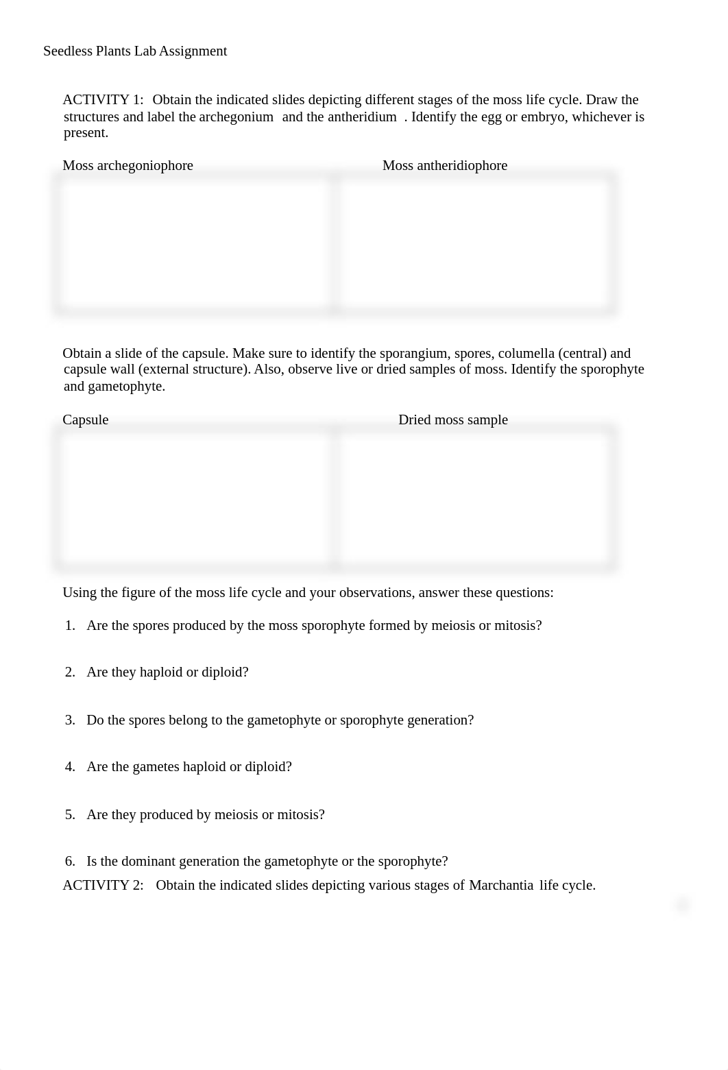 Seedless Plants Lab Assignment (1).docx_deg4rnm1ypx_page1