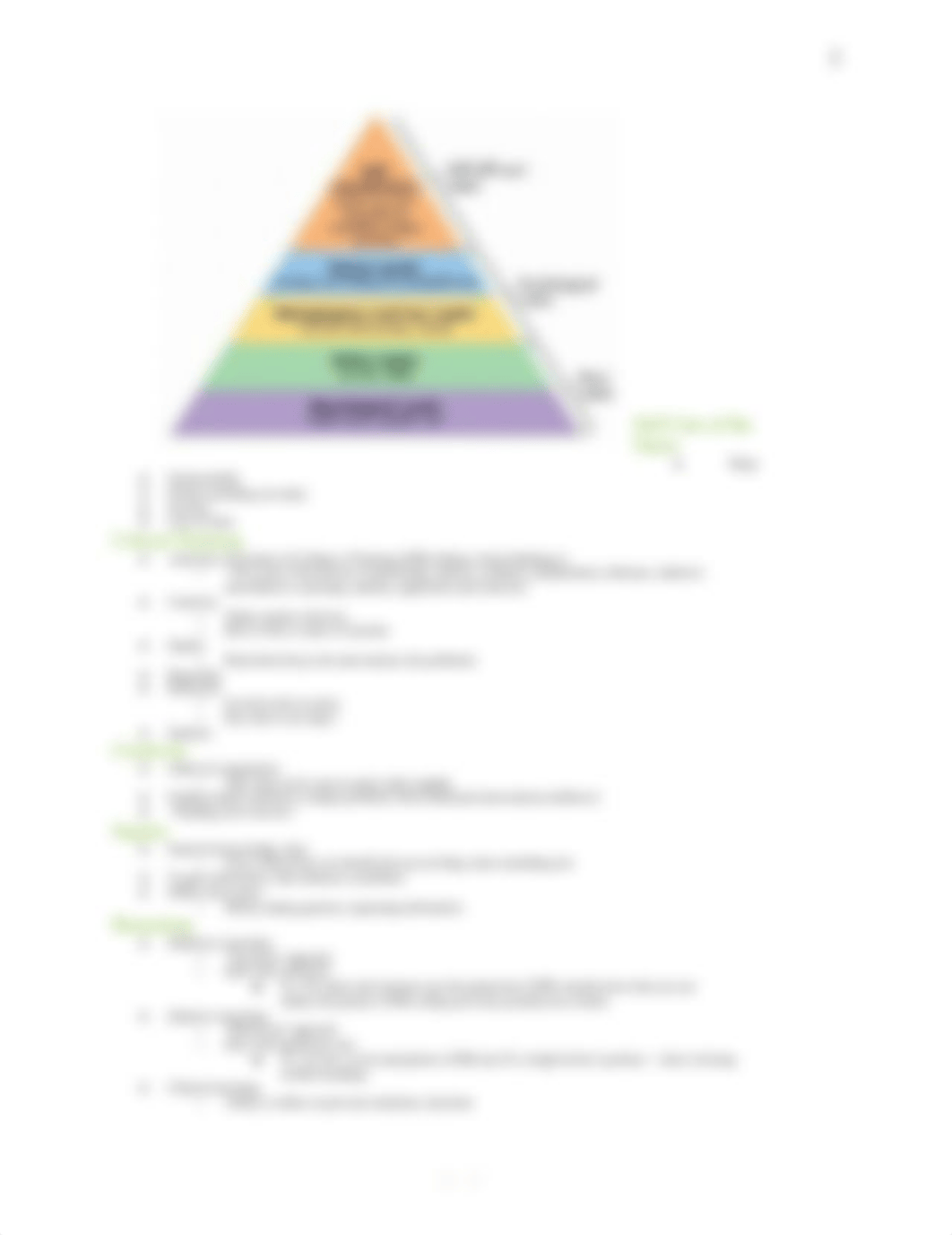 Clinical Decision Making - N111.docx_deg6ibw7nlf_page2