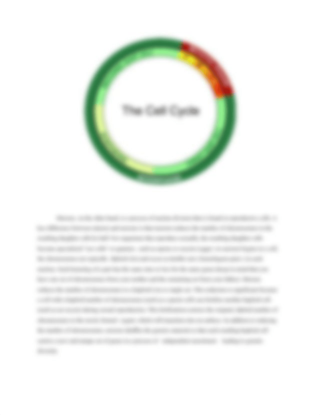 Exercise+11+Modeling+Mitosis+and+Meiosis.docx (2).pdf_degjqvskbxi_page3