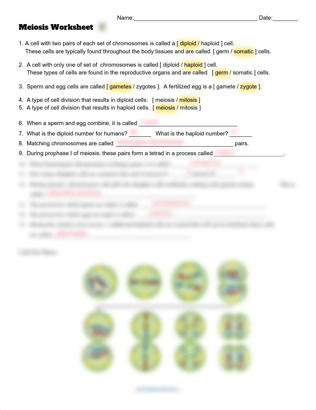 Meiosis Worksheetkam2.pdf_degksn4q61n_page1