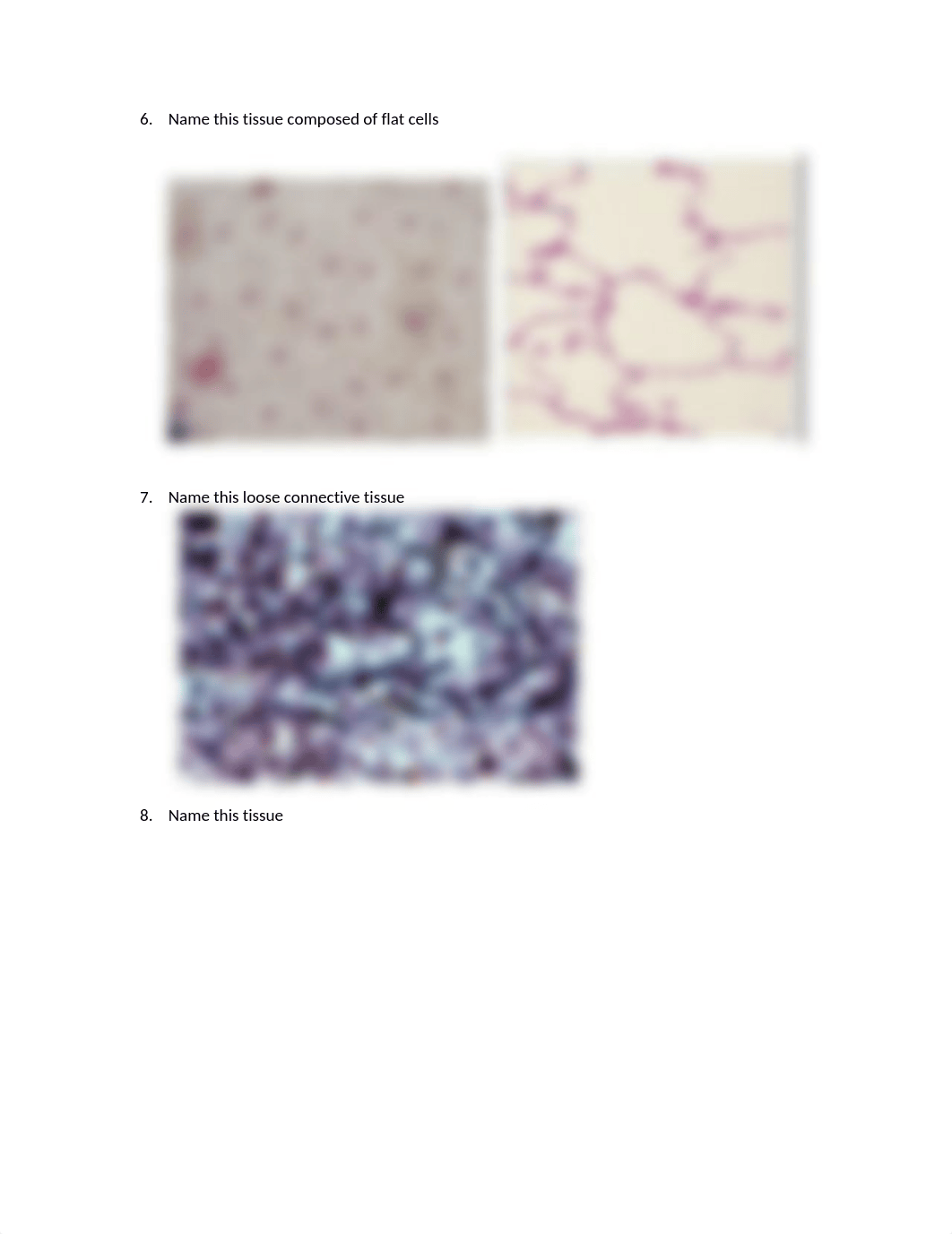 AP1 Tissues Lab Test 2018.docx_degn6clhk8u_page3