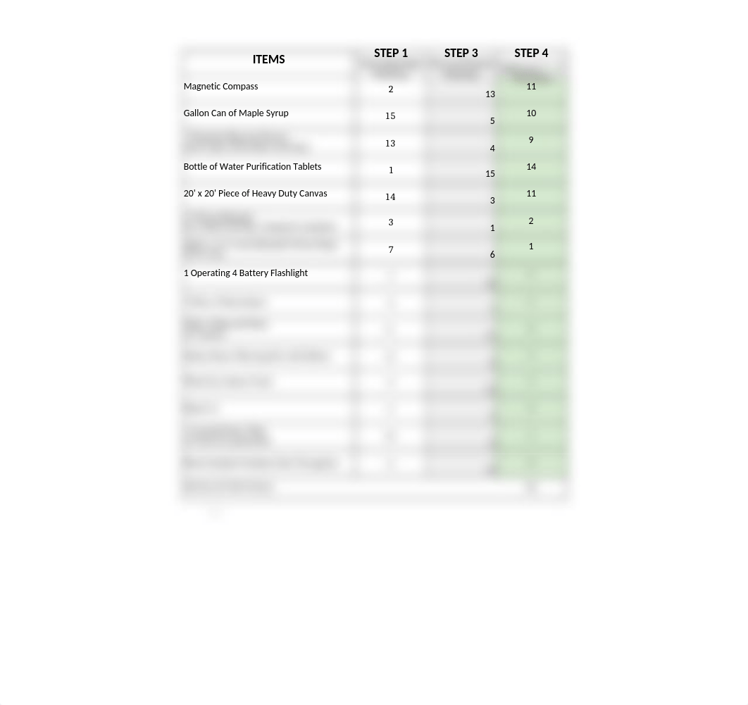 1SY-Team 5 - Survival Score Sheet Individual and Team Ranking.xlsx_degnjmpw8b7_page3